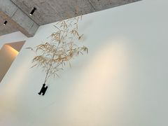 -原乡芦茨咖啡