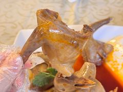 红油小白凤-百利鸽王(紫薇路店)