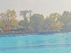 -七彩云南欢乐世界