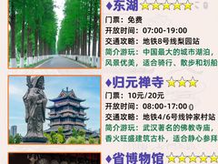 -武汉知音号