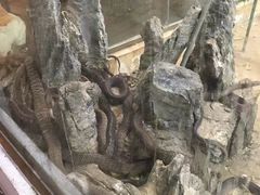 -荔城生鲜盛宴(番禺旗舰店)