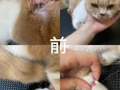 -听TA说宠咖·宠物生活馆(天韵水岸店)