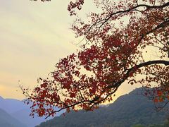 -富春桃源风景区