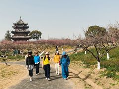 -上海海湾国家森林公园