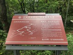 -九曜山