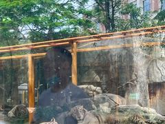 -灵玲国际马戏城