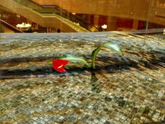 android_upload_pic-杭州国际会议中心洲际酒店-原素全日餐厅(解放东路店)