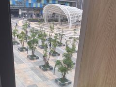 -润园四季椰子鸡火锅(南山海岸城店)