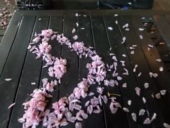 -同济大学(嘉定校区)