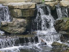 -白水寺森林公园