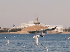 -日照世帆赛基地
