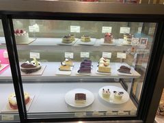 -多乐之日(田林东路店)