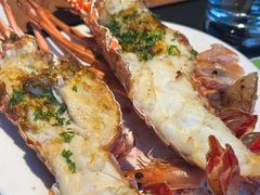 -拉蒂娜·巴西牛排馆 Latina·Brazilian Steakhouse(王府井喜悦店)