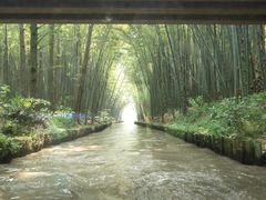 -同里国家湿地公园