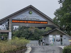 -中国大熊猫保护研究中心雅安碧峰峡基地