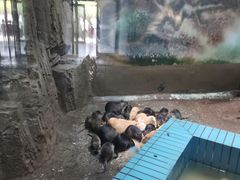 -齐齐哈尔龙沙动植物园