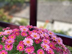 -和顺古镇