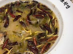 老坛子酸菜鱼-太二酸菜鱼(金沙印象城店)