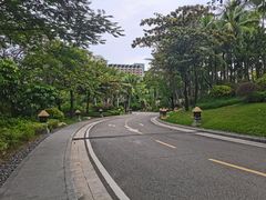 -海南清水湾莱佛士酒店