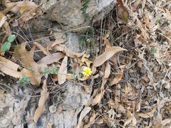 -南京金牛湖风景区