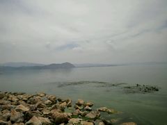 -呈贡滇池生态湿地公园