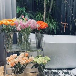 -花隐·美芙炫海菲秀皮肤管理中心