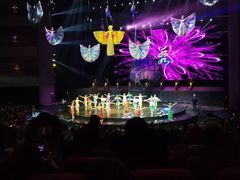 -水秀国际大剧院