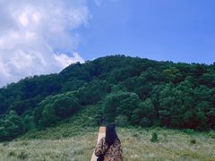 -白草畔自然风景区