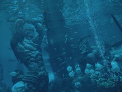 -哈尔滨波塞冬海底世界