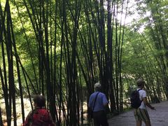 -四洞沟景区