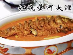 -阿五黄河大鲤鱼(纬三路店)