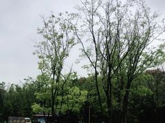 -狼山风景名胜区