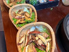 -滇野云南野生菌餐厅(陕西南路店)