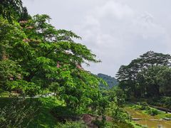 -东莞植物园