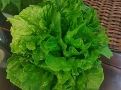 -葛记红焖羊肉(人民路店)