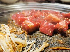 -猫爪爪原切自助烤肉(观音桥阳光世纪店)