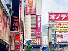 -秋叶原电器街