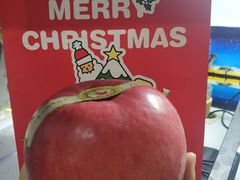 -藏猫猫咖啡主题馆(中央大道店)