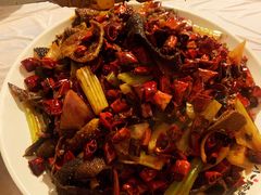 招牌爆毛肚-福苗小骆驼烧烤(莲湖路店)