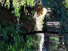 -石家庄市动物园