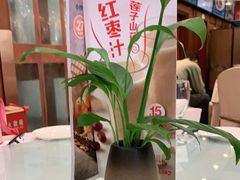 -眉州东坡(亚运村店)
