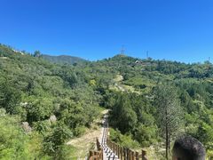 -白水寺森林公园