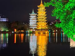 -椿记烧鹅(叠彩店)