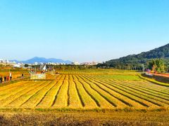 -风云岭森林公园