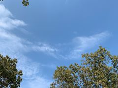 -东方绿舟景区