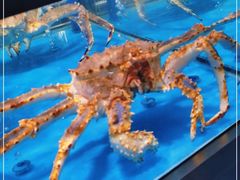 -麦德龙(郑东店)