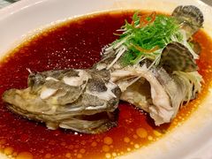 清蒸石斑魚-皇朝尊会(龙之梦大酒店)