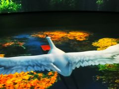 -中国湿地博物馆