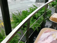 -麦当劳(展览路店)