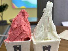 -野人先生现做冰淇淋(北京悠唐购物中心店)